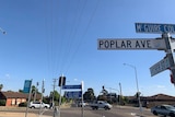 A street sign reading 'Poplar ave' on the corner of a suburban street.