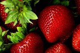 Hepatitis scare creates strong demand for Australian berries