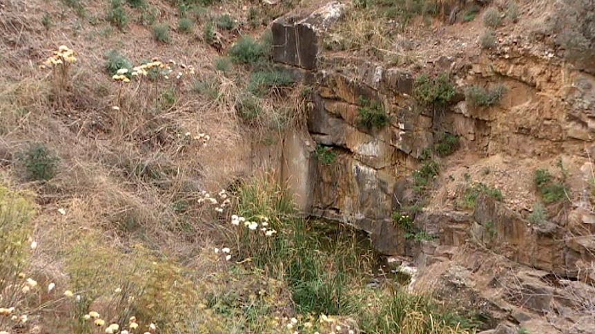 Hallett Cove ravine