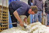 The owners estimate the fleece's value at $200 but have been offered much more.