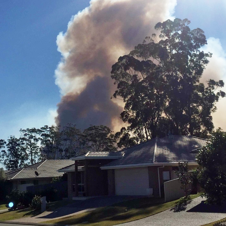 Smoke near houses in Port Macquarie