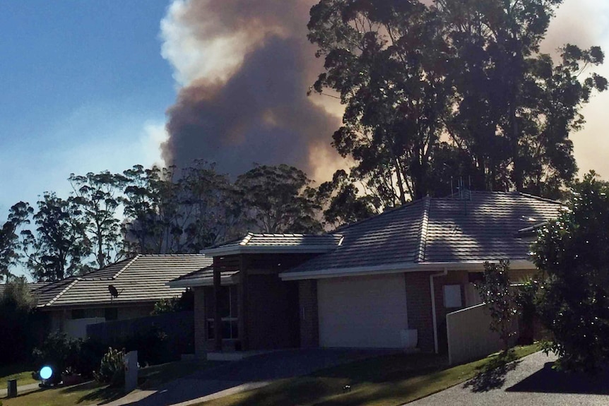Smoke near houses in Port Macquarie
