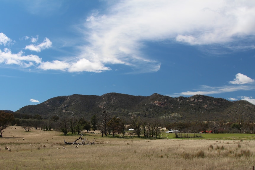 A landscape view of a mountain