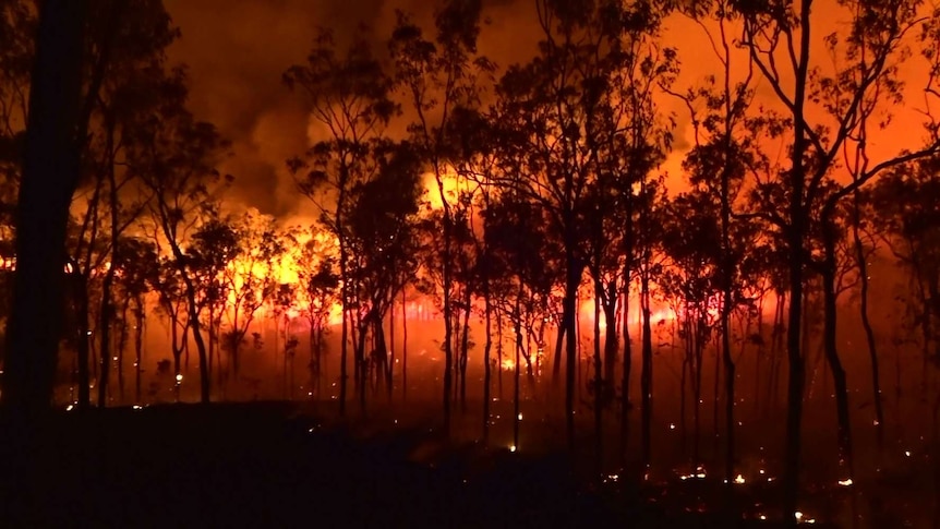 Red and orange glowing flames against black silhouetted trees with billowing smoke, fire scene at night, far north Queensland