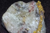 Thieves in Darwin have targeted a tub of quartz containing gold.