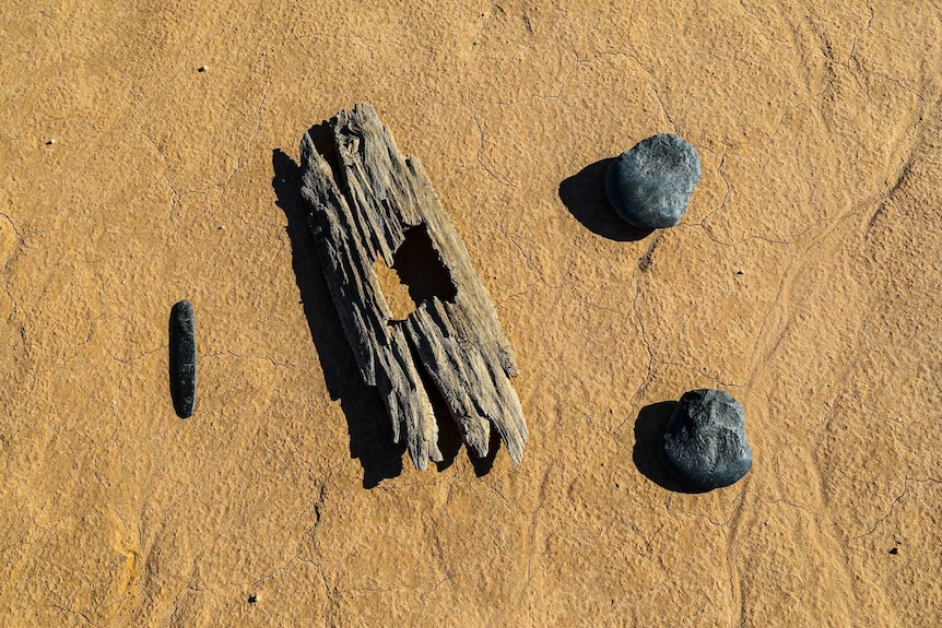 A bark with a cut-out hole sits next to three rocks in the desert.