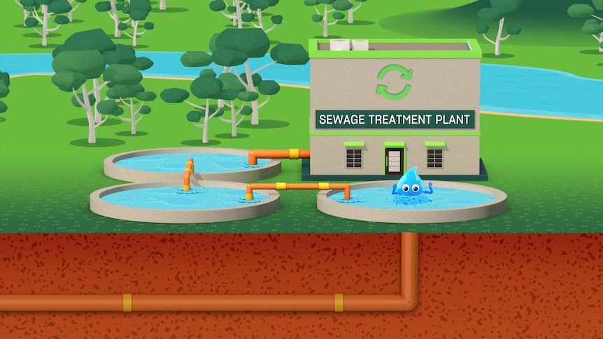 Graphic of a wastewater treatment plant