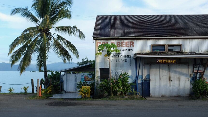Wide-shot of water-side restaurant and palm tree at Savusavu.