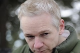 Julian Assange says WikiLeaks is losing $620,000 a week.