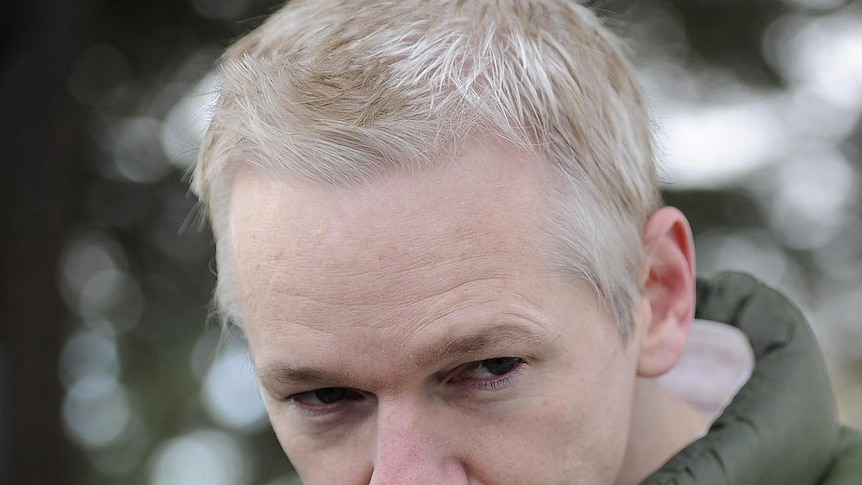 WikiLeaks founder Julian Assange