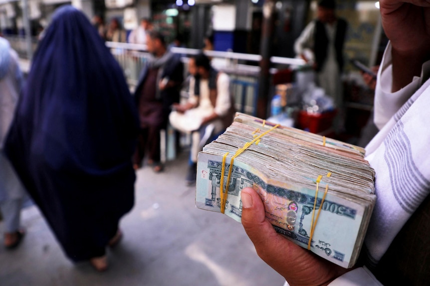 Picture of a man holding a bundle of cash in a hand 