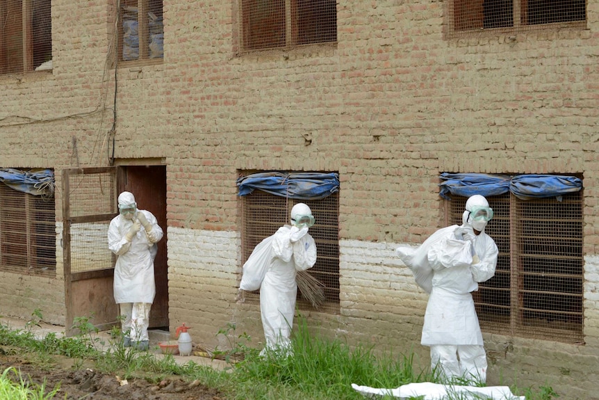 Nepalese health workers carry sacks of dead chickens at a poultry farm with suspected bird flu.