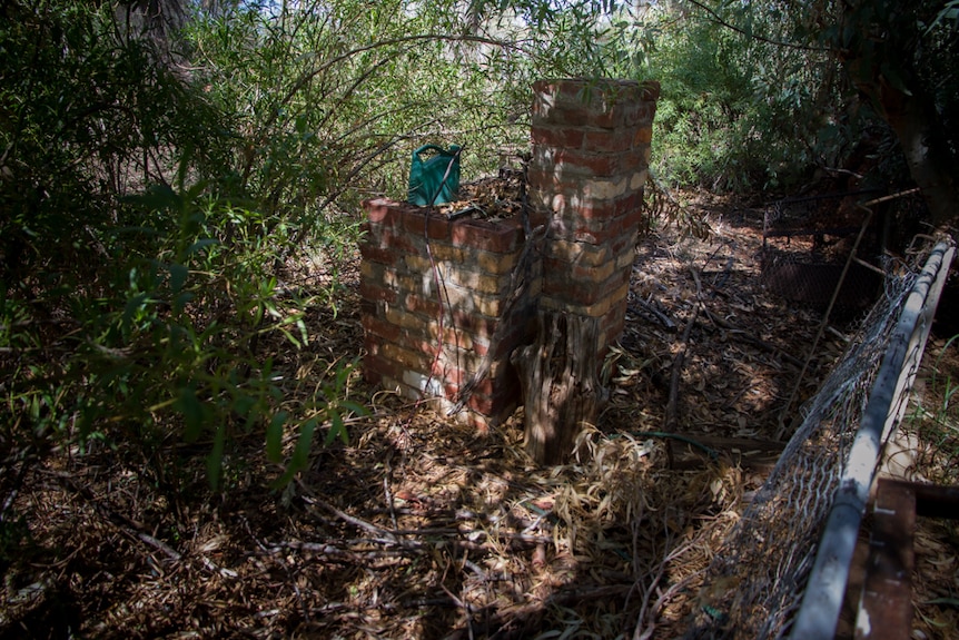 The barbecue built by investigators at Banjawarn Station.