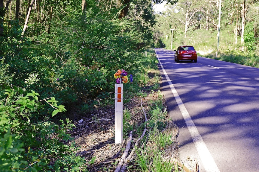 Gerberas tied to a road marker to the left of the road.