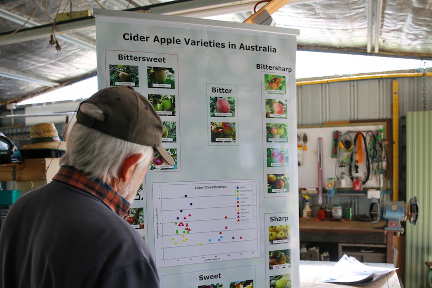 Cider apple variety poster with David Pickering in foreground