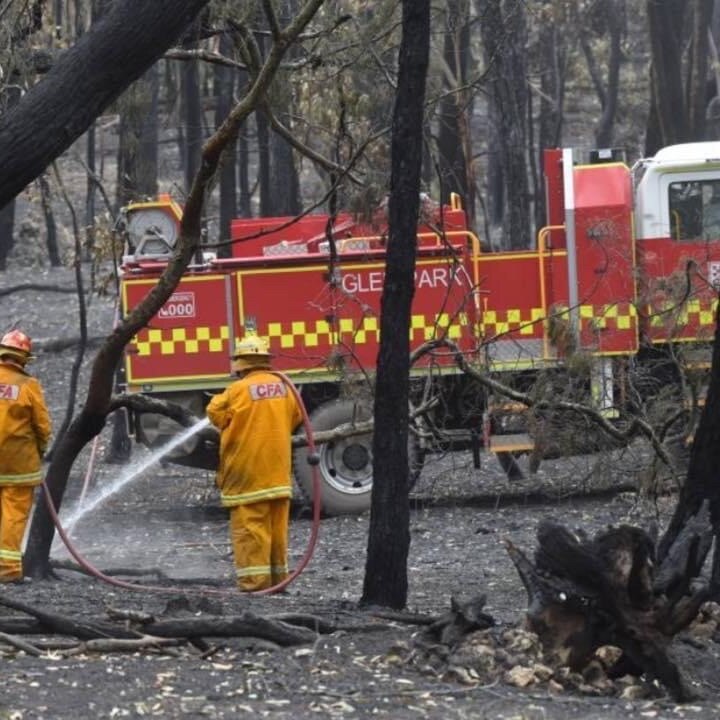 Firefighters and a firetruck in charred bush.