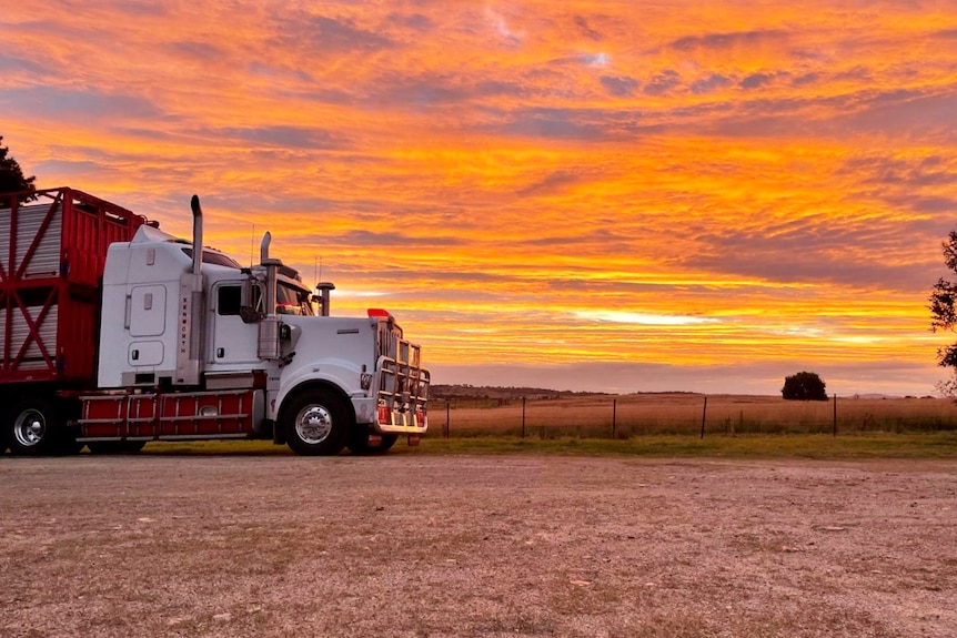 A kenworth truck parked in front of an orange sunset 
