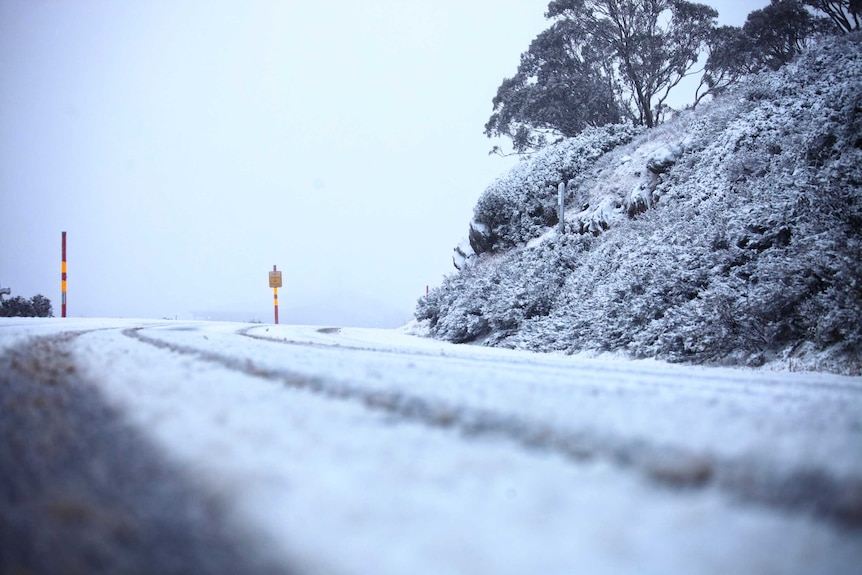 Cold temperatures have delivered 20 cm of snow on the ground at Mount Hotham.
