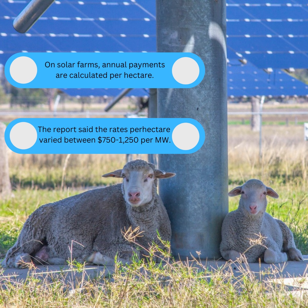 Two sheep under a solar panel 