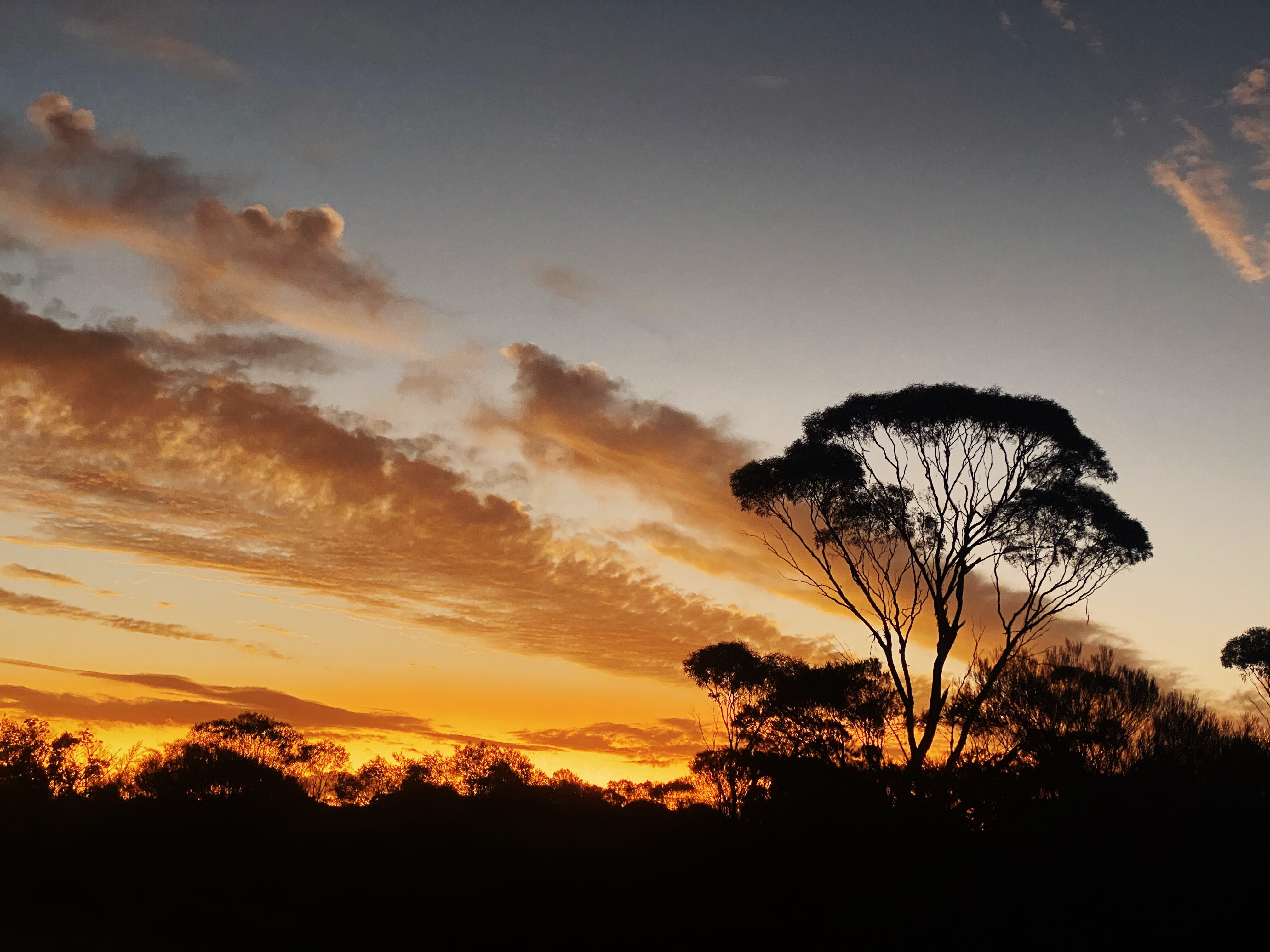An hour before dawn in arid WA