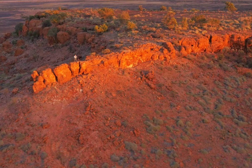 Aerial shot of land where the Night Parrot was found.