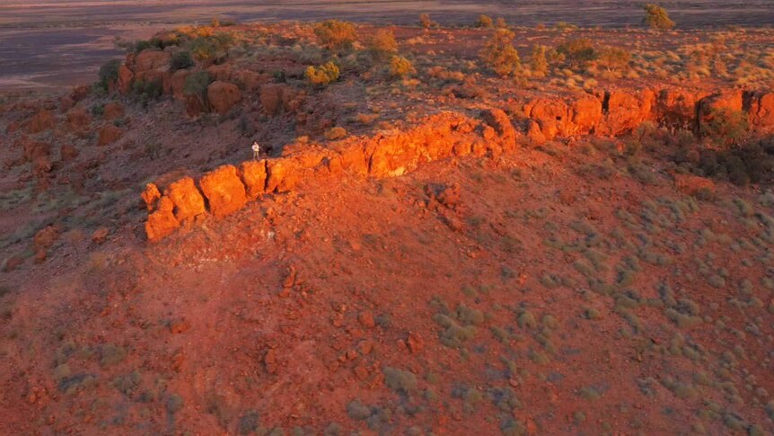Aerial shot of land where the Night Parrot was found.