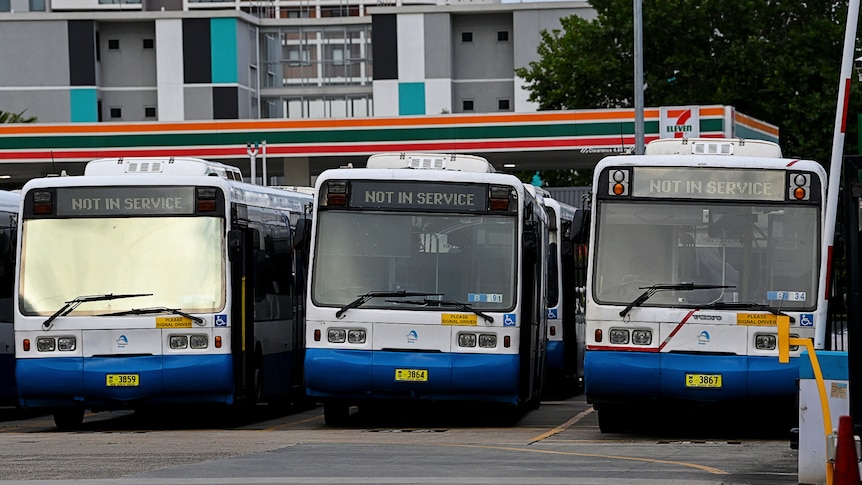 Sydney News : Des centaines de chauffeurs de bus de Sydney en grève
