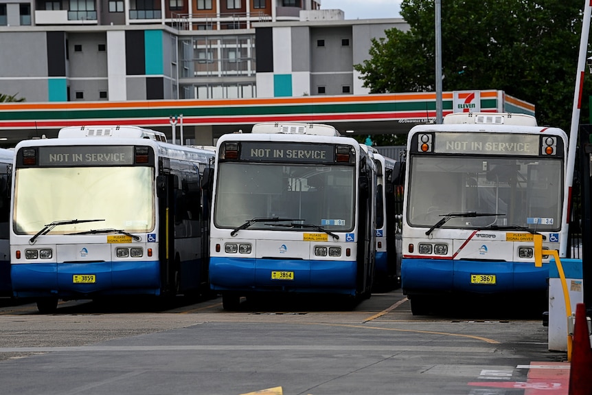 buses parked at a bus depot