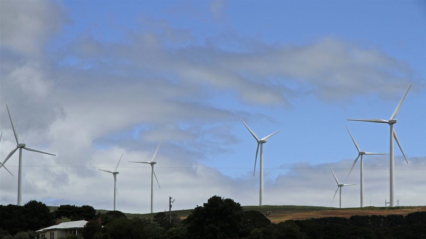 Waubra Wind Farm. (File photo)