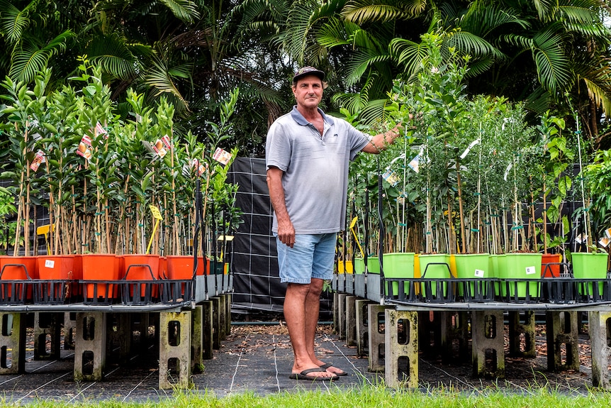 A man stands surrounded by fruit trees.