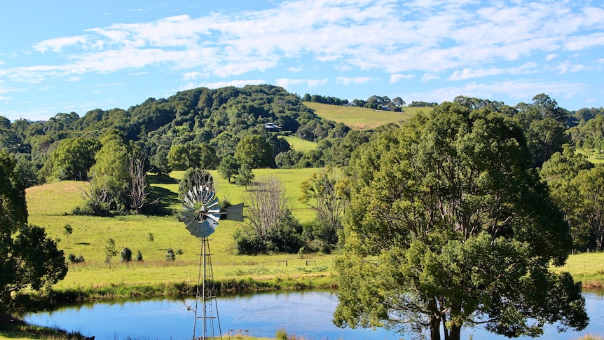 A dam and rolling green hills.