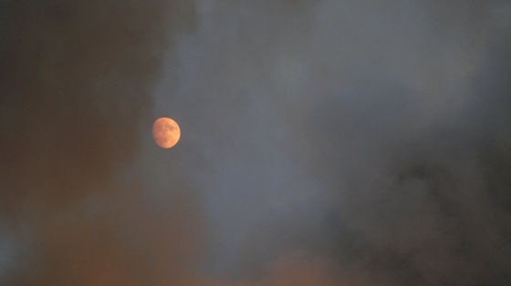 The moon rises above the flames of a forest fire near the village of Krounoi in southern Greece.