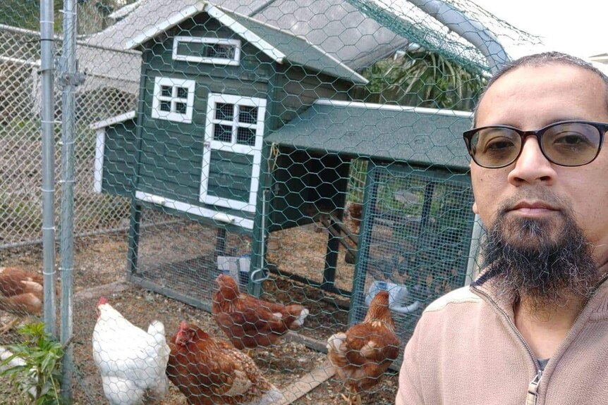 Bobby Prayitno akan memiliki waktu lebih banyak untuk mengurusi ayam peliharaannya semasa lockdown kedua di Auckland.