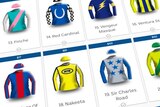 Some of the silks for the 2018 Melbourne Cup field.