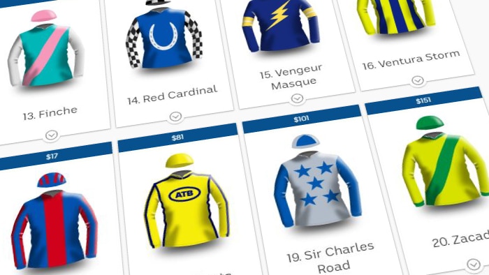 Some of the silks for the 2018 Melbourne Cup field.