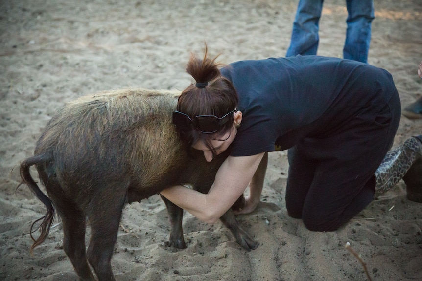 Owner Amanda Novotny is hugging one of her "mini-pigs".