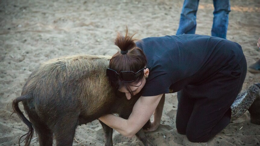 Owner Amanda Novotny is hugging one of her "mini-pigs".