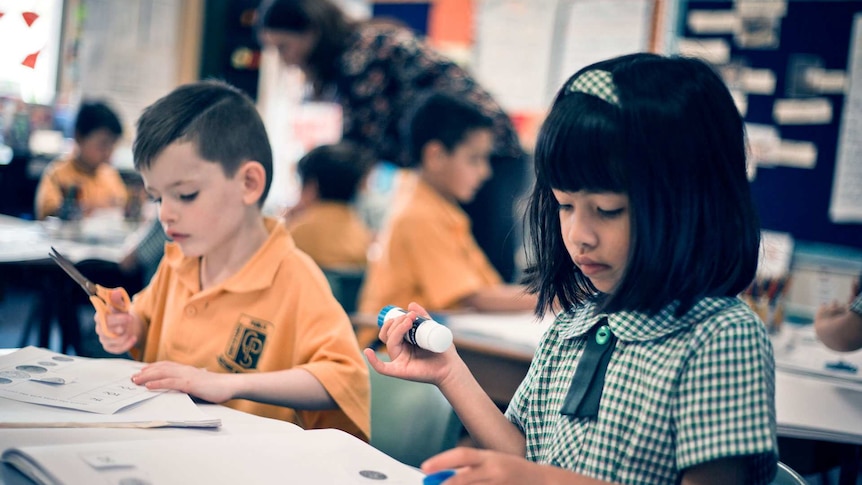 Photo of primary school students cutting and pasting