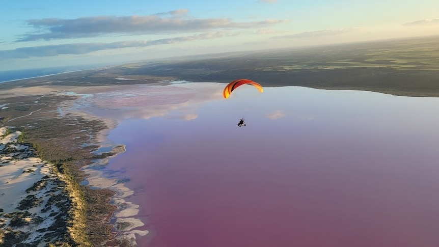 A paramotor flies over pink lake