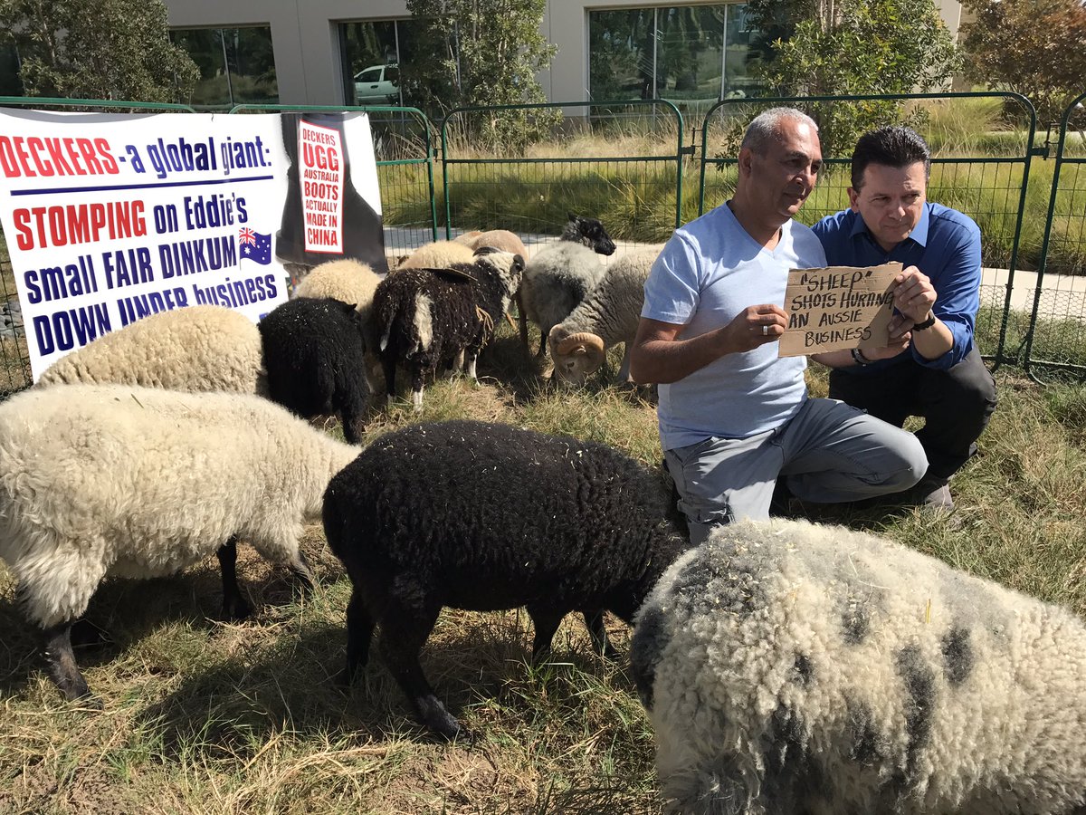 Ugg boot manufacturer Eddie Oygur with Nick Xenophon surrounded by sheep.