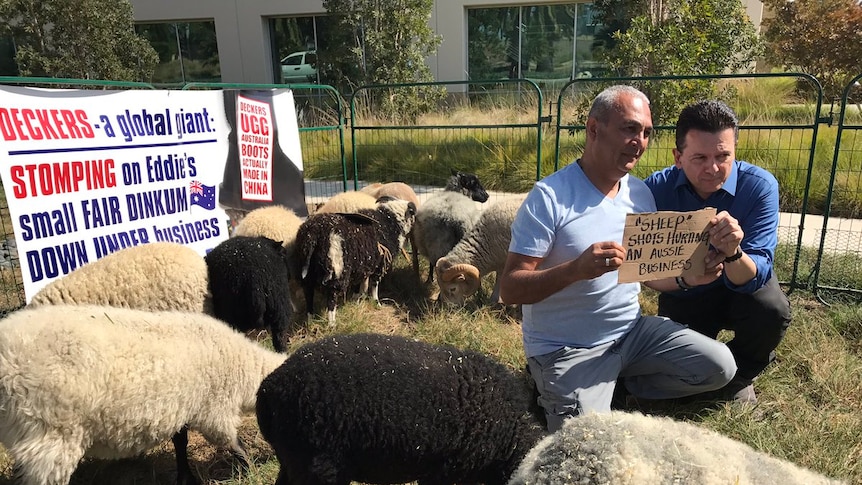 Ugg boot manufacturer Eddie Oygur with Nick Xenophon surrounded by sheep.