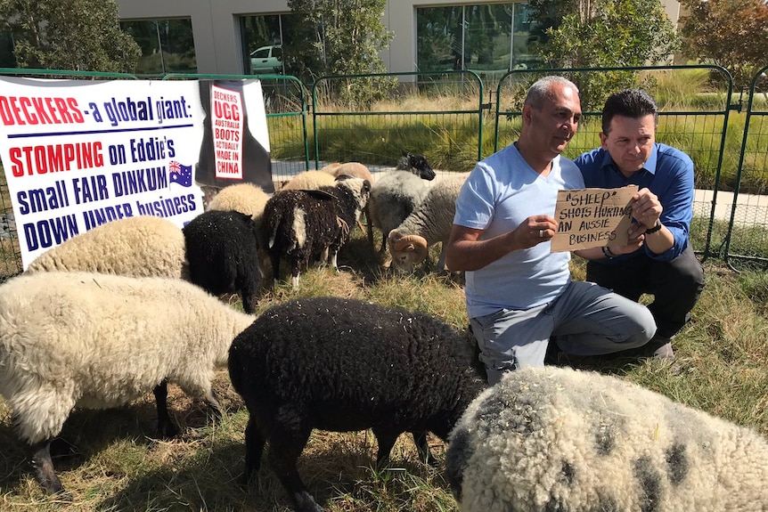 Ugg boot manufacturer Eddie Oygur with Nick Xenophon surrounded by sheep.