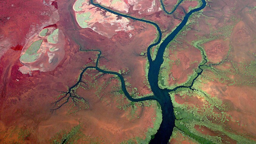 A birds-eye view of colourful river systems along the coast of Western Australia.