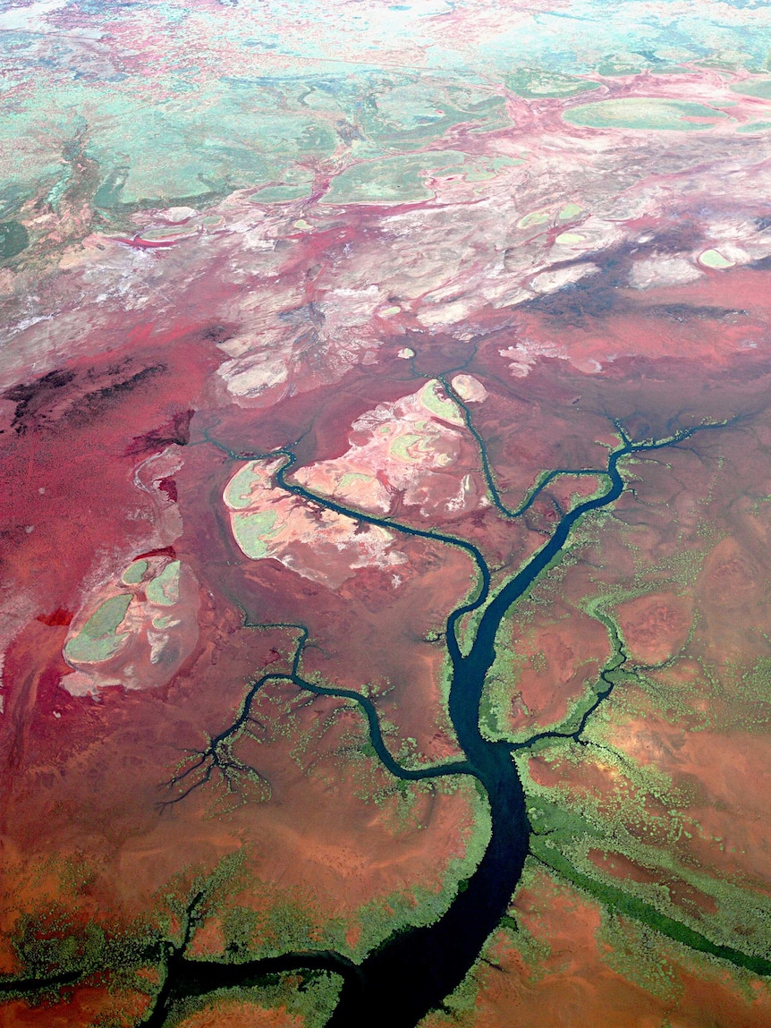 A birds-eye view of colourful river systems along the coast of Western Australia.