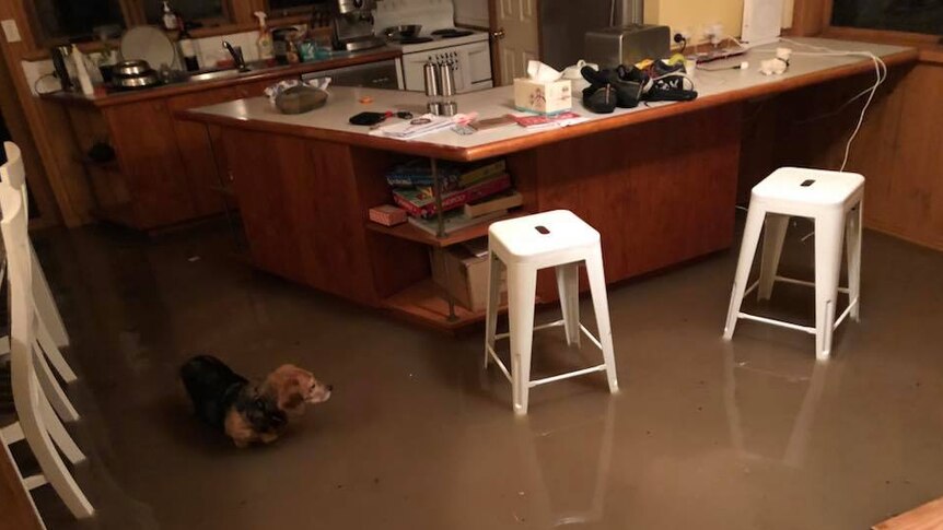Sam Ikin's flooded kitchen
