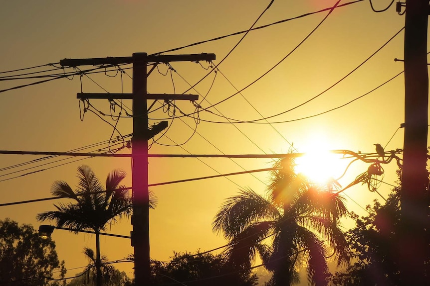Sun shines through powerlines at dusk in town in south-east Queensland