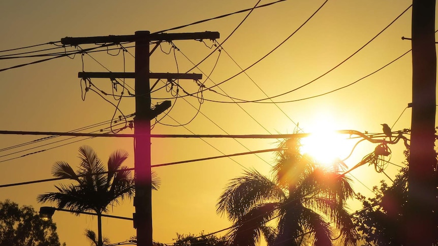 Sun shines through powerlines at dusk in town in south-east Queensland