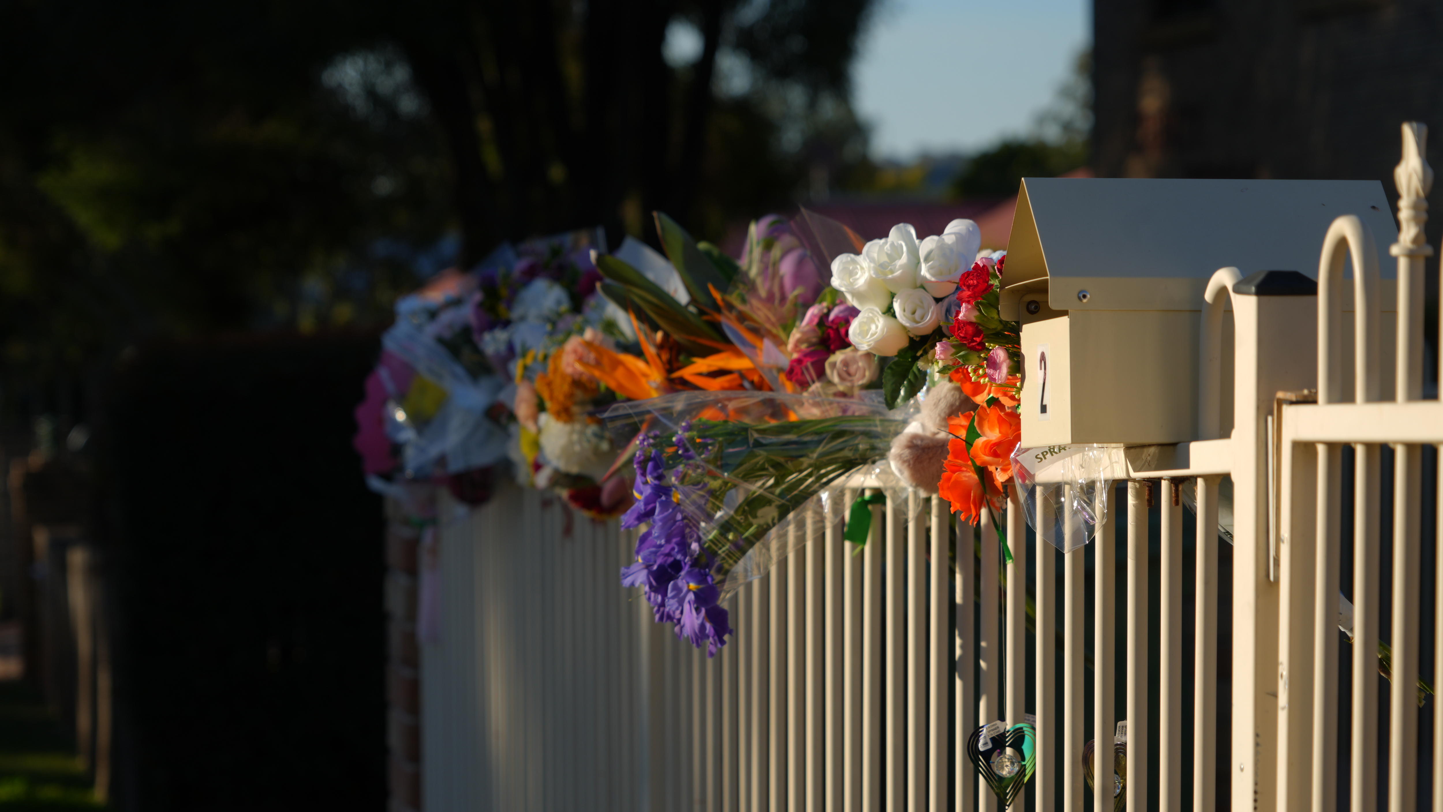 colourful flowers on the fence of a house
