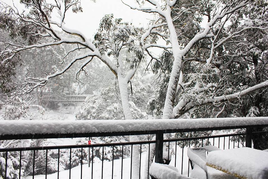 Heavy snow blankets trees, ground and outdoor furniture in Thredbo Village