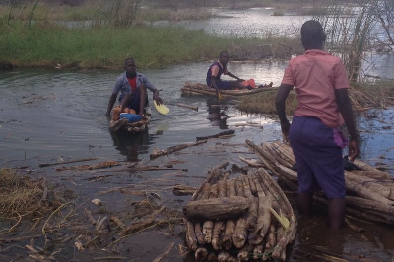 Kenyan children paddle across Lake Baringo on boats made of softwood branches tied together with nylon rope